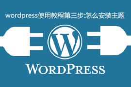 wordpress使用教程第三步:怎么安装主题