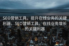SEO营销工具，提升在线业务的关键利器，SEO营销工具，在线业务增长的关键利器