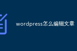 wordpress怎么编辑文章