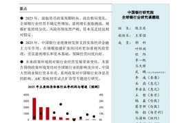 中国银行：全球银行业展望报告（2025年）-2025最新seo资料