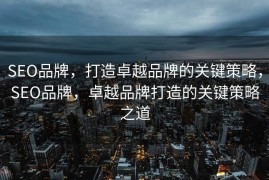 SEO品牌，打造卓越品牌的关键策略，SEO品牌，卓越品牌打造的关键策略之道
