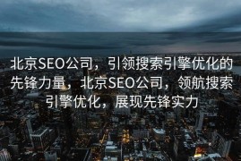 北京SEO公司，引领搜索引擎优化的先锋力量，北京SEO公司，领航搜索引擎优化，展现先锋实力