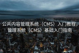 公共内容管理系统（CMS）入门教程，管理系统（CMS）基础入门指南