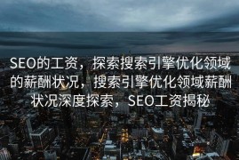 SEO的工资，探索搜索引擎优化领域的薪酬状况，搜索引擎优化领域薪酬状况深度探索，SEO工资揭秘