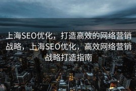 上海SEO优化，打造高效的网络营销战略，上海SEO优化，高效网络营销战略打造指南