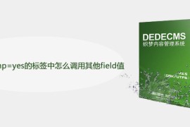 DEDE在runphp=yes的标签中怎么调用其他field值