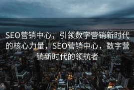 SEO营销中心，引领数字营销新时代的核心力量，SEO营销中心，数字营销新时代的领航者