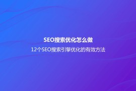 SEO搜索优化怎么做？(12个SEO搜索引擎优化的有效方法)-2025最新seo资料