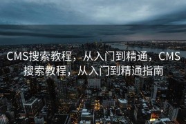 CMS搜索教程，从入门到精通，CMS搜索教程，从入门到精通指南