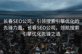 长春SEO公司，引领搜索引擎优化的先锋力量，长春SEO公司，领航搜索引擎优化先锋之道