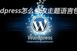 wordpress怎么修改主题语言包工具