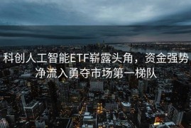 科创人工智能ETF崭露头角，资金强势净流入勇夺市场第一梯队