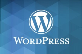 Wordpress不用插件的SEO优化方法是什么