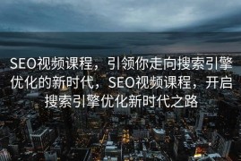 SEO视频课程，引领你走向搜索引擎优化的新时代，SEO视频课程，开启搜索引擎优化新时代之路