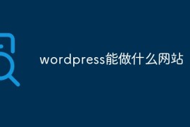 wordpress能做什么网站