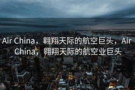 Air China，翱翔天际的航空巨头，Air China，翱翔天际的航空业巨头