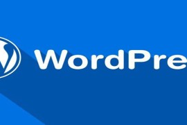 kali系统中常用来扫描wordpress应用程序的工具是什么