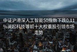 中证沪港深人工智能50指数下跌0.11%澜起科技等前十大权重股引领市场走势