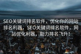 SEO关键词排名软件，优化你的网站排名利器，SEO关键词排名软件，网站优化利器，助力排名飞升！