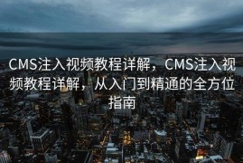 CMS注入视频教程详解，CMS注入视频教程详解，从入门到精通的全方位指南