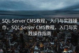 SQL Server CMS教程，入门与实践操作，SQL Server CMS教程，入门与实践操作指南