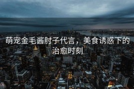 萌宠金毛酱肘子代言，美食诱惑下的治愈时刻