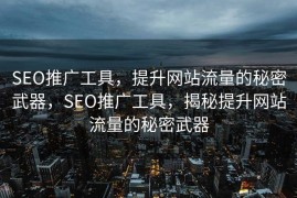 SEO推广工具，提升网站流量的秘密武器，SEO推广工具，揭秘提升网站流量的秘密武器