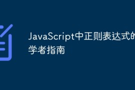 JavaScript中正则表达式的初学者指南
