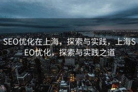 SEO优化在上海，探索与实践，上海SEO优化，探索与实践之道