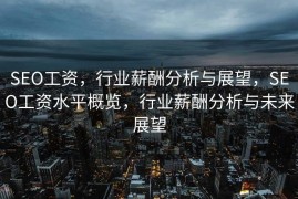 SEO工资，行业薪酬分析与展望，SEO工资水平概览，行业薪酬分析与未来展望