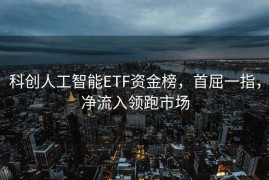 科创人工智能ETF资金榜，首屈一指，净流入领跑市场