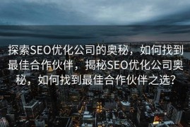 探索SEO优化公司的奥秘，如何找到最佳合作伙伴，揭秘SEO优化公司奥秘，如何找到最佳合作伙伴之选？