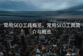 常用SEO工具概览，常用SEO工具简介与概览