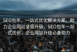 SEO包年，一站式优化解决方案，助力企业网站全面升级，SEO包年一站式优化，企业网站升级必备助力