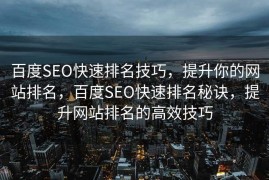 百度SEO快速排名技巧，提升你的网站排名，百度SEO快速排名秘诀，提升网站排名的高效技巧