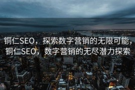铜仁SEO，探索数字营销的无限可能，铜仁SEO，数字营销的无尽潜力探索