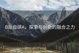 B站自研A，探索与创新的融合之力