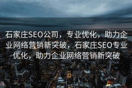石家庄SEO公司，专业优化，助力企业网络营销新突破，石家庄SEO专业优化，助力企业网络营销新突破