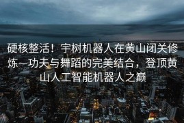 硬核整活！宇树机器人在黄山闭关修炼—功夫与舞蹈的完美结合，登顶黄山人工智能机器人之巅