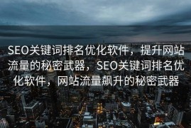 SEO关键词排名优化软件，提升网站流量的秘密武器，SEO关键词排名优化软件，网站流量飙升的秘密武器