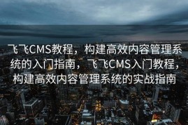 飞飞CMS教程，构建高效内容管理系统的入门指南，飞飞CMS入门教程，构建高效内容管理系统的实战指南