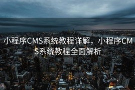 小程序CMS系统教程详解，小程序CMS系统教程全面解析