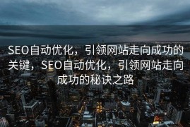SEO自动优化，引领网站走向成功的关键，SEO自动优化，引领网站走向成功的秘诀之路