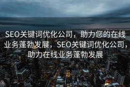 SEO关键词优化公司，助力您的在线业务蓬勃发展，SEO关键词优化公司，助力在线业务蓬勃发展