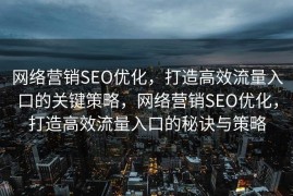 网络营销SEO优化，打造高效流量入口的关键策略，网络营销SEO优化，打造高效流量入口的秘诀与策略