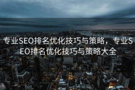 专业SEO排名优化技巧与策略，专业SEO排名优化技巧与策略大全