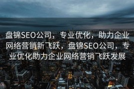 盘锦SEO公司，专业优化，助力企业网络营销新飞跃，盘锦SEO公司，专业优化助力企业网络营销飞跃发展