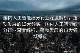 国内人工智能细分行业深度解析，蓬勃发展的13大领域，国内人工智能细分行业深度解析，蓬勃发展的13大领域概览