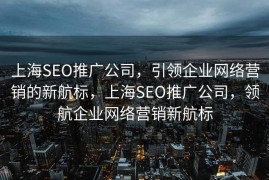 上海SEO推广公司，引领企业网络营销的新航标，上海SEO推广公司，领航企业网络营销新航标
