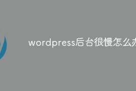 wordpress后台很慢怎么办